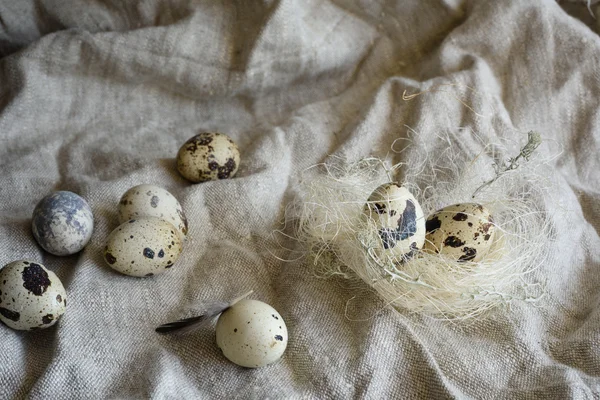 Перепелиные яйца на мешковине . — стоковое фото