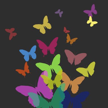 Siyah arka planda beyaz kanatlı egzotik kelebekler.