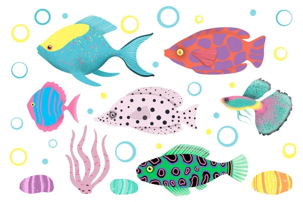 Een Reeks Illustraties Van Vissen Van Verschillende Soorten Helder Gekleurd — Stockfoto