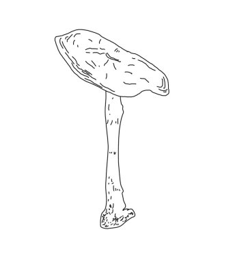 Linart tarzında bir mantarın tasviri