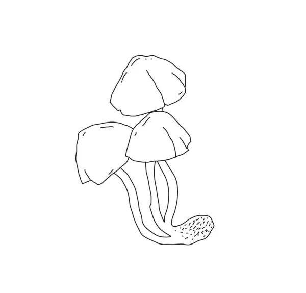 Illustration Mushroom Style Linart — Stock Photo, Image