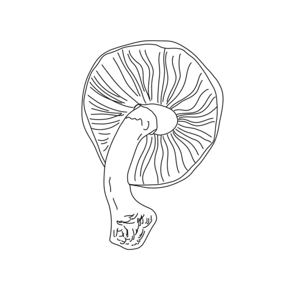 Illustration Mushroom Style Linart — Stock Photo, Image