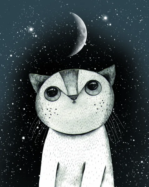 Dessin Chat Avec Grands Yeux Nuit Avec Lune Photos De Stock Libres De Droits