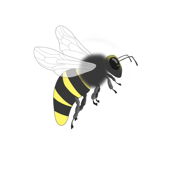 Иллюстрация Цифровой Пчелы Черно Желтой Полоске Стоковое Фото