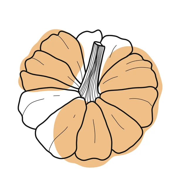 Illustrazione Una Zucca Nello Stile Arte Linea Con Colorazione Parziale — Foto Stock