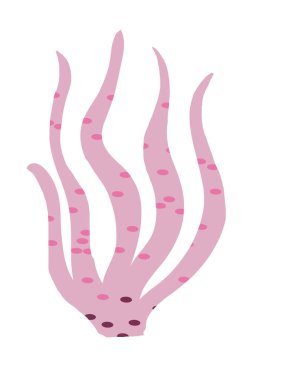 Benekli soluk pembe algler