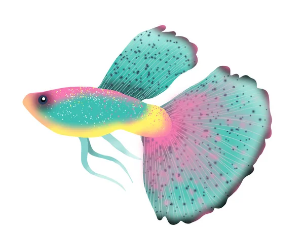 Illustration Eines Fisches Mit Einem Rosa Blauen Und Gelben Körper — Stockfoto