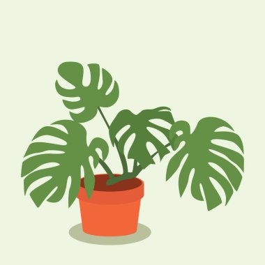 Canavar yaprağının düz vektör tasarımı, iç dekorasyon tesisi.