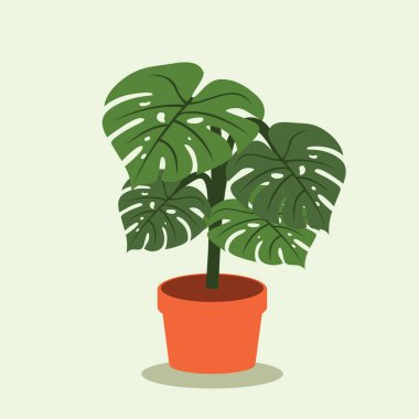 Philodendron yaprağının yassı vektör tasarımı, kapalı alan dekorasyon fabrikası