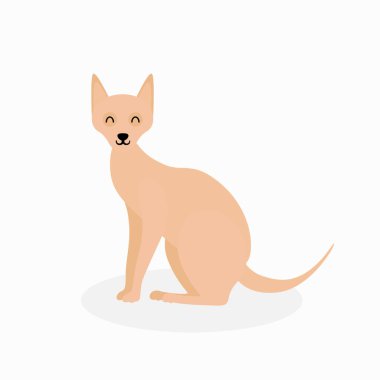 Doğulu kedi, evcil hayvan yassı vektör izole tasarım konsepti