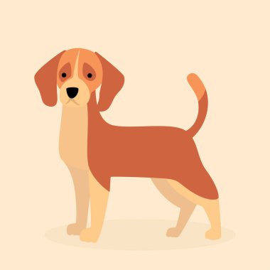 Labrador köpek yavrusu, evcil hayvan yassı vektör izole tasarım konsepti