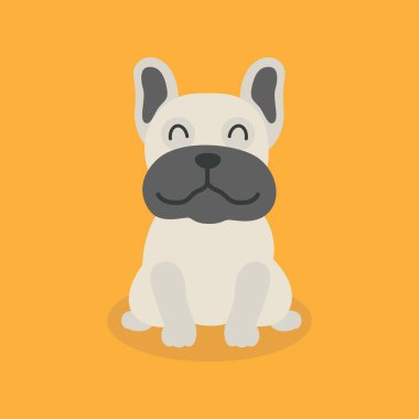 Fransız buldog yavrusu, evcil hayvan yassı vektör izole tasarım konsepti