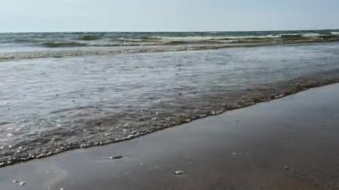 Yumuşak deniz dalgaları Adriyatik 'in kumlu kıyılarına vuruyor huzurlu kıyı manzarası yaratıyor..