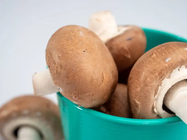 Champignon mushrooms on a white background. — Stock Photo, Image