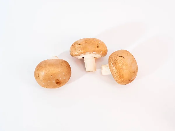 Champignon mushrooms on a white background. — Stock Photo, Image