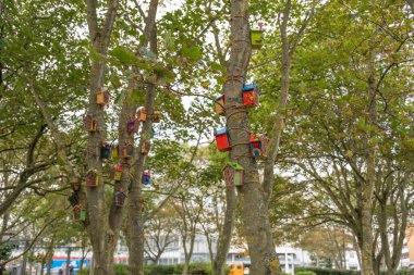 Parktaki ağaç gövdelerinin etrafına birden fazla boyalı kuş evi bağlanmış. Kurulum yeşil ortama eğlenceli renkler ekler.