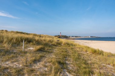 Çimenli kum tepeleri geniş bir körfeze doğru gidiyor. Deniz feneri kıyı şeridine bakar ve deniz kenarı kenti uzaktadır..