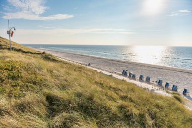 Çimenli kum tepelerinin manzarası geniş bir kumsal ortaya çıkarır. Mavi plaj sandalyeleri kıyıda güneş denize yansıyor..