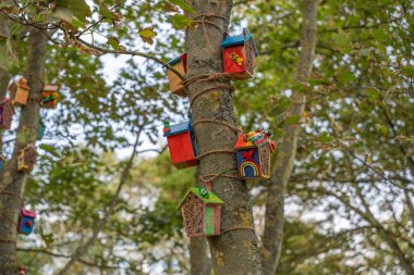 Close-up of colorful houses. Several small, hand-painted wooden houses are tied to a tree trunk with rope. Each house is unique with bright colors and designs.