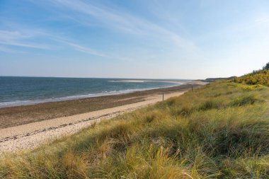 A tranquil coastal scene with gentle waves and grassy dunes under a clear sky. The horizon stretches calmly into the sea.