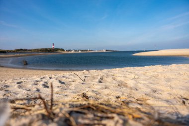 Soft sand in the foreground leads the view to a distant lighthouse and sea. A serene coastal landscape under warm sunlight.