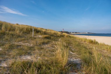 Grassy dunes slope gently toward the sea with a distant lighthouse. A calm coastal panorama under a clear sky.
