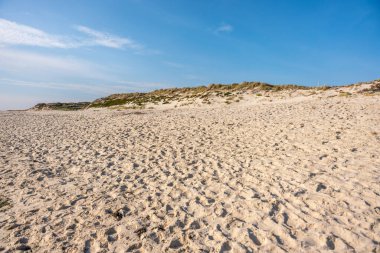 Geniş kumlu bir sahil açık mavi bir gökyüzünün altında uzanır, kumulların çerçevesi seyrek çimlerle kaplıdır. Güneş ışığı kumun ince dokusunu vurgular..