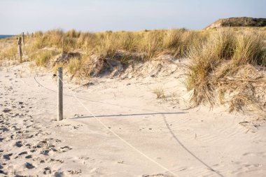 Kum tepecikleri boyunca uzanan halatlı bir patikanın yakın çekimi güzel kum ve kıyı bitkilerini gösteriyor. Sahne, deniz kenarındaki doğanın sessiz basitliğini yakalar..