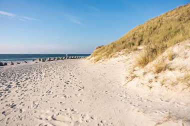 A sandy beach stretches along the dunes beside the calm sea. Concrete wave breakers line the shore under a clear blue sky.