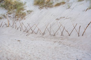 Crossed wooden sticks create a simple dune fence against the sand. Gentle grass grows on the slope in a coastal preservation area.
