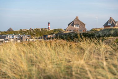 Kum tepeleri ve çimenlerin arasına yerleşmiş sazdan evler olan huzurlu bir sahil manzarası. Uzakta, manzaranın üzerinde kırmızı ve beyaz bir deniz feneri yükselir..