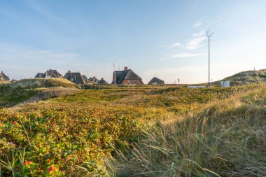Thatched evleri sonbahar çalılarıyla çevrili yeşil kumulların üzerinde yükselir. Parlak bir gökyüzü sakin kıyı manzarasını tamamlıyor..