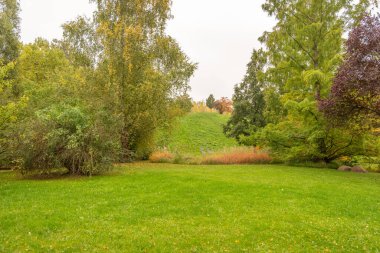 Sonbahar ağaçlarıyla çevrili çimenli bir parkın geniş bir manzarası. Hafif renkler bulutlu ışık altında uyum içinde harmanlanır..