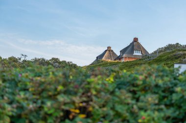 Thatched Houses on a Hill. Two traditional thatched-roof houses rise above green dunes under a clear blue sky. The evening light gives the scene a warm, peaceful glow.