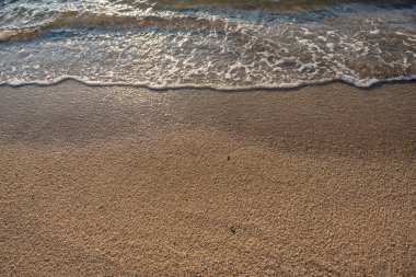 Köpüklü dalgalar altın kuma hafifçe dokunurken ışık yüzeyde hafifçe yansıyor. Sakin ve samimi bir deniz ayrıntısı..