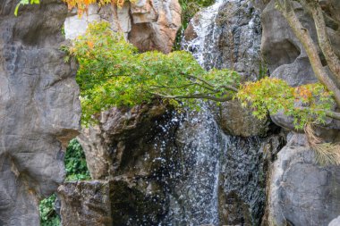 Gri kayalar ve Acer palmatum dallarıyla çerçevelenmiş bir şelaleye yakın çekim. Damlacıklar kayaların arasına düşerken ışıldarlar..