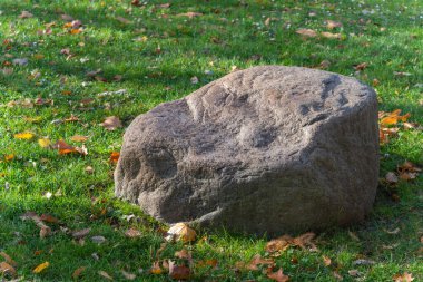 Yıpranmış bir kaya, düşmüş yapraklarla benekli yeşil çimenlerin üzerinde duruyor. Yumuşak öğleden sonra ışığı taşı şekillendirir..