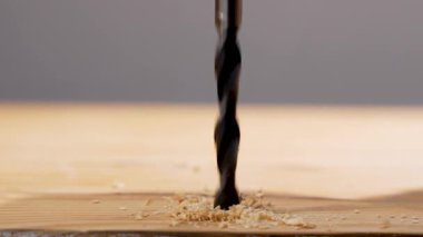 Bükme matkabı yumuşak ağaçlara kesilir ve deliğin etrafına taze talaşlar dökülür. Ahşap işçiliğinin eylem halinin yakın çekim görüntüleri.