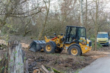 Almanya 27 Kasım 2025. Kedi tekerleği yükleyicisi yolun yanındaki ağaçlık alanda çalıları ve kütükleri temizliyor. Orman bakımı sırasında arka planda servis kamyonu.