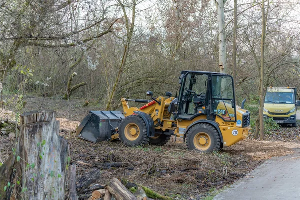 Almanya 27 Kasım 2025. Kedi tekerleği yükleyicisi yolun yanındaki ağaçlık alanda çalıları ve kütükleri temizliyor. Orman bakımı sırasında arka planda servis kamyonu.