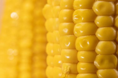 Sığ alan derinliğine sahip mısır taneciklerinin yakın çekimi yumuşak bir besin kaynağı oluşturuyor. Tarım, organik ve sağlıklı beslenme kavramları için mükemmel..