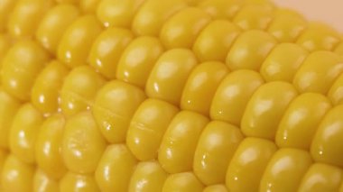 Olgun mısır koçanı ve parlak çekirdeklerin dönüşümlü makro görüntüsü. Yüksek detaylı gıda videosu tarım, beslenme ve sağlıklı yeme kavramları için idealdir.