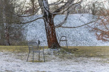 Metal bir sandalye bir ağacın yanında karda oturuyor. Arka planda bir sandalye daha var.