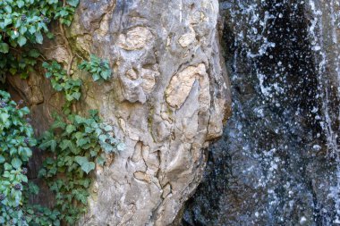 Akan bir şelalenin yanında insan yüzü şeklinde yıpranmış taş bir heykel duruyor. Ivy Hedera sarmal kaya yüzeyine tırmanıyor ve bahçeye doğal bitki örtüsü ekliyor..