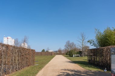 Toprak yol iki yoğun çit arasında uzanıyor. Açık mavi bir gökyüzünün altında yol kenarında otlar büyür. Yapraksız ağaçlar ve yeşil çalılar arka planda.