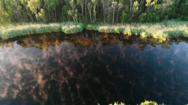 Vol Aérien Dessus Petit Lac Fumant Dans Forêt — Video