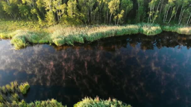 Vol Aérien Dessus Petit Lac Fumant Dans Forêt — Video