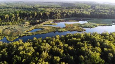 Yoğun yeşil orman ve bataklık ile çevrili küçük bir göl havası