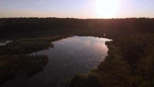 Brouillard Léger Dessus Lac Lever Soleil Matin Brumeux Sur Lac — Video