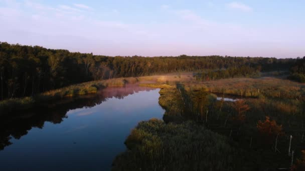 Vidéo Aérienne Matin Brumeux Survoler Forêt Lac Heure Lever Soleil — Video